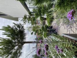 Nicola ALEXANDRE - ADN AGENCEUR DECORATEUR NICOLA